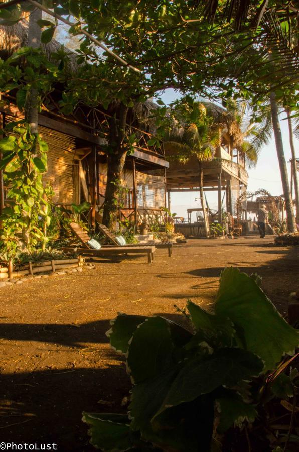 Palapa Cabins Las Piedronas Dış mekan fotoğraf